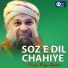 Owais Raza Qadri