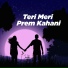 Teri Meri