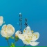 柯梦