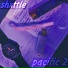 shxttle