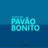 Pavão Bonito