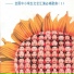 新时代小星星组合
