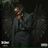 Del B, Skiibii