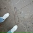 vlaskkkk