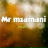 Mr mzamani