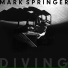 Mark Springer