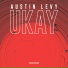 Austin Levy