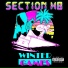 SECTION H8