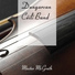 Dungarvan Céilí Band