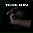 Perry Venus