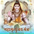 Krishna Jogi