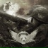 Killerpanda