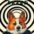 Dizzyboy
