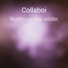 Collaboi