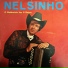 Nelsinho