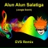 EVS REMIX