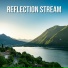 Estimulacion Mentalr