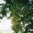 Rupture