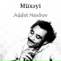 Adalet Nesibov