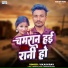 Vikash Rav
