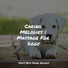 Sleepy Dogs, Relaxmydog, Music for Pets Library