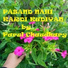 Parul Chaudhary