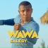 Wawa Salegy