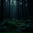 foreverlost.