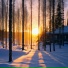 Quasis, Winter02