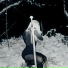 Senua, Lieless