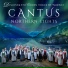 Cantus