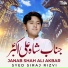 Syed Siraj Rizvi