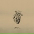 Qali