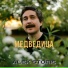 alex storis