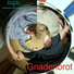 N.I.L.F.I.S.C.