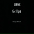 SANE, Gєllya