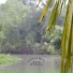 Rain & Sleep