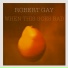 Robert Gay, Robert Gay and the Alarms