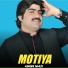Ameer Niazi