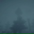 NIGHT SNOW