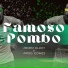 Jovem Oldih, Prod Gomes