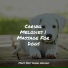 Sleepy Dogs, Relaxmydog, Music for Pets Library