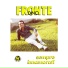 Dino Fronte