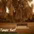 Taner Yurt