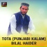 Bilal Haider
