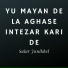 Salar Janikhel