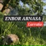 Enbor Arnasa