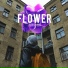 alex iloven