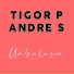 Tigor P