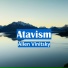 Allen Vinitsky